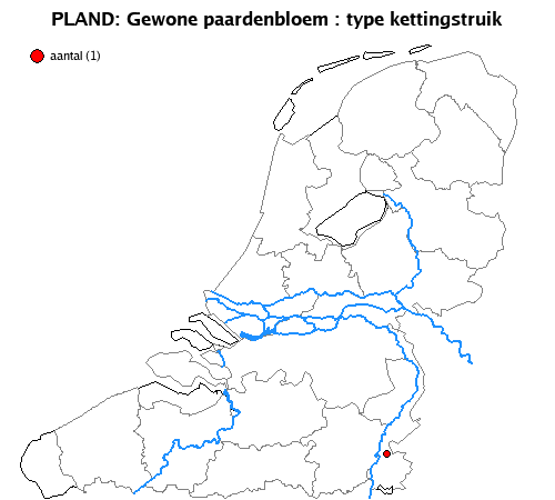 kettingstruik